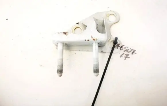 Volkswagen PASSAT B5 Tailgate/trunk/boot hinge