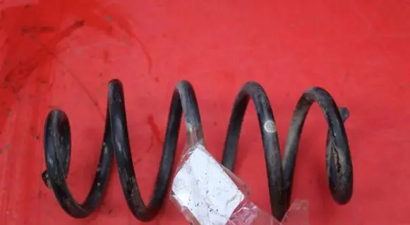 Nissan Juke I F15 Rear coil spring