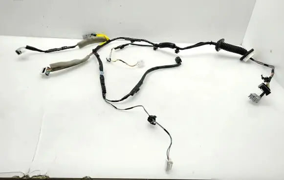 Front door wiring loom