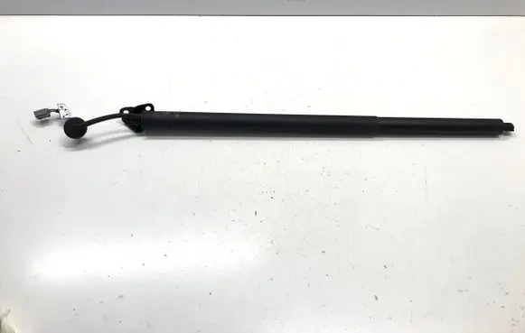 Ford Mustang Mach-E Tailgate/trunk/boot lift motor LJ8BR402A54AE
