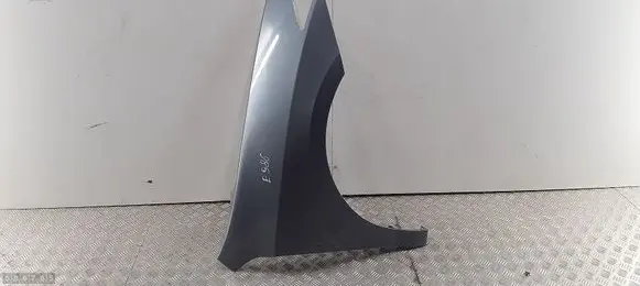 Renault Laguna III Fender