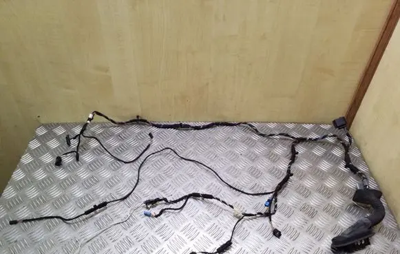 Front door wiring loom