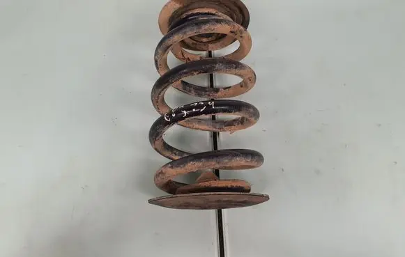 Rear coil spring