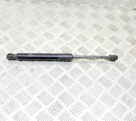 Tesla Model 3 Tailgate/trunk strut/damper 109156000B