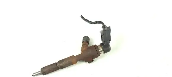 Ford Transit - Tourneo Connect Fuel injector 7T1Q-9F593-AB