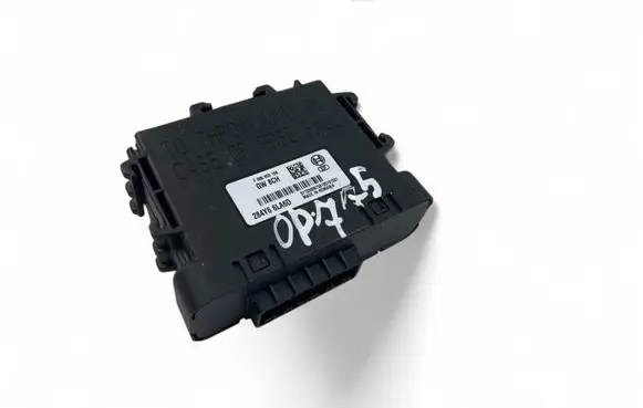 Renault Zoe Other control units/modules 284Y66LA6D