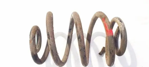 Rear coil spring