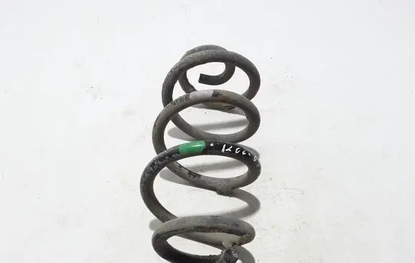 Renault Koleos I Rear coil spring 550209535R