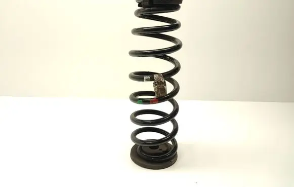 Hyundai Ioniq Rear coil spring 55350G2050