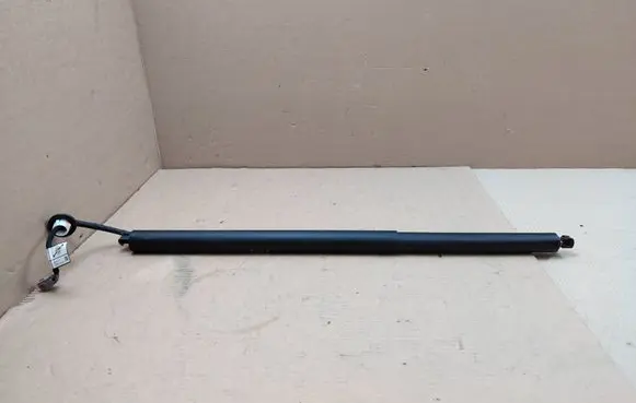 Ford Mustang Mach-E Tailgate/trunk strut/damper LJ8BR402A54AB