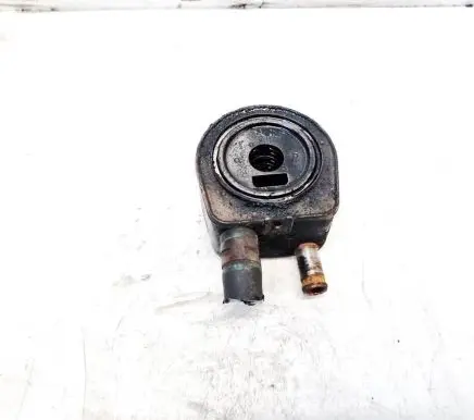 Peugeot 406 Engine oil radiator 