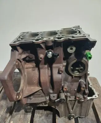 Ford Focus Engine M1DD