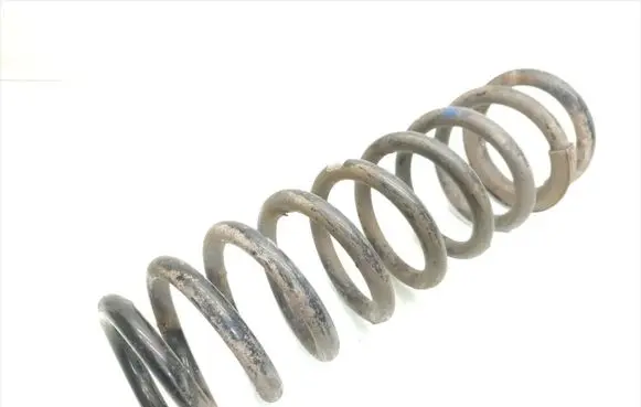 Rear coil spring