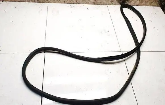 Hyundai Ioniq Rubber seal front coupe door 