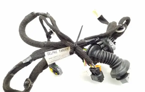 Rear door wiring loom