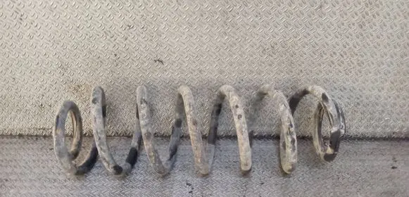 Volkswagen PASSAT B6 Rear coil spring