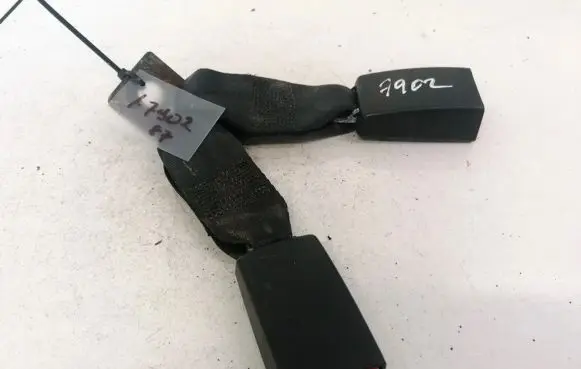 Dodge Journey Rear seatbelt buckle
