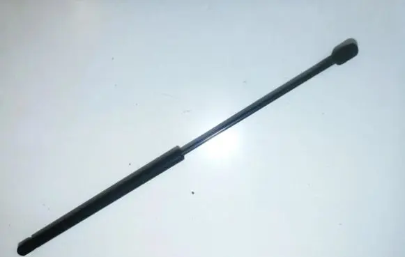 Tailgate/trunk strut/damper
