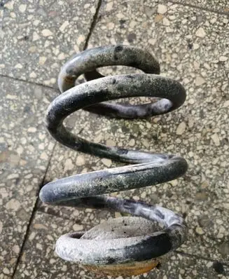 Rear coil spring