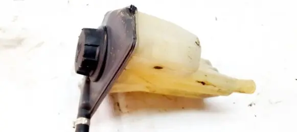 Volvo S40, V40 Coolant expansion tank/reservoir 30804963