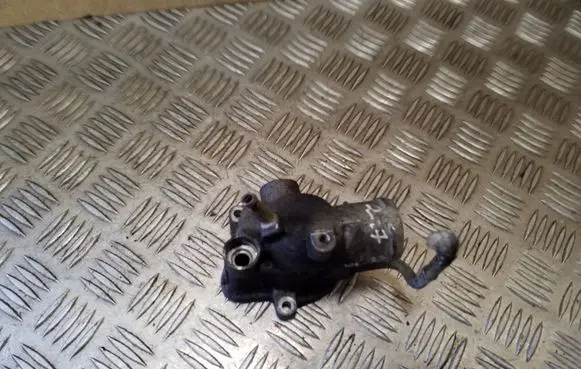 Thermostat/thermostat housing