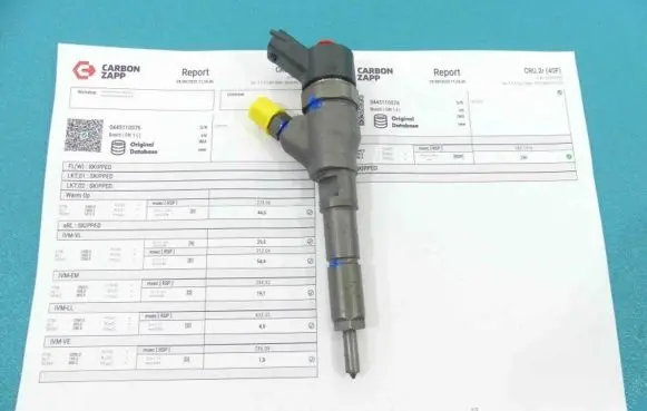 Citroen Xsara Picasso Fuel injector 0445110076 IMPRK1251761