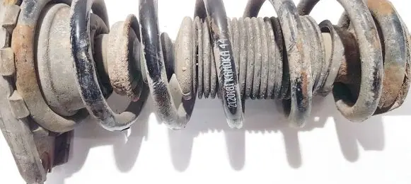 Nissan Primera Rear coil spring 2120181