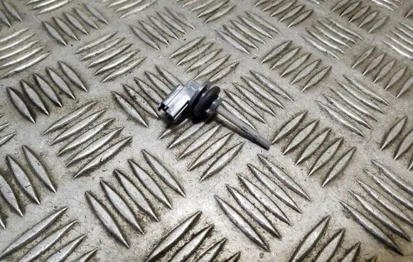 Tesla Model S Interior temperature sensor
