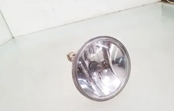 Chevrolet Captiva Front fog light 948415