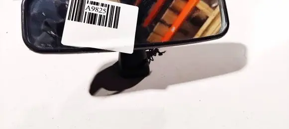 Nissan Micra Rear view mirror (interior) e9010056