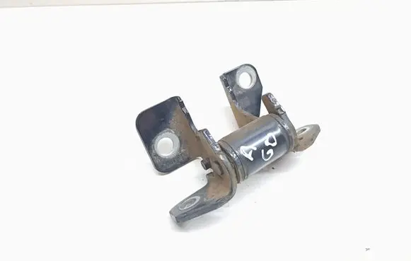 Rear door lower hinge