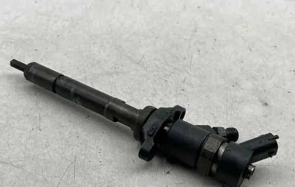 Citroen C4 I Fuel injector 0445110188