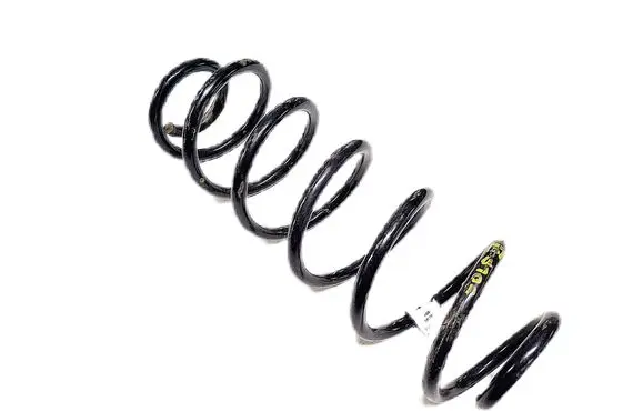 Rear coil spring