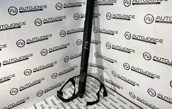 BMW X5 F15 Tailgate/trunk strut/damper 7294469