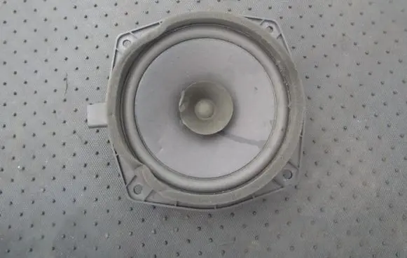 Front door speaker