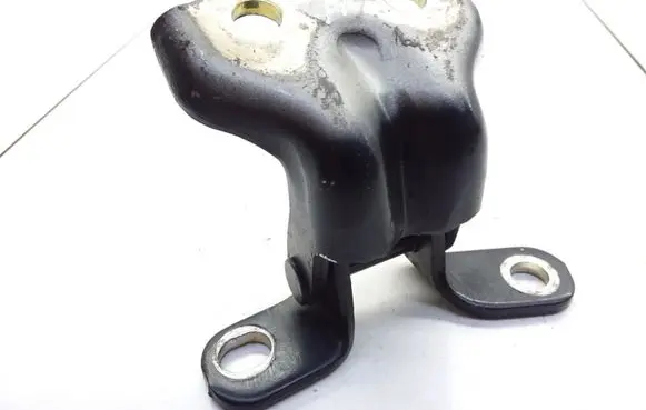 KIA Sorento Rear door lower hinge RRU