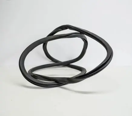 Seat Exeo (3R) Rubber seal rear door 8E9833721G