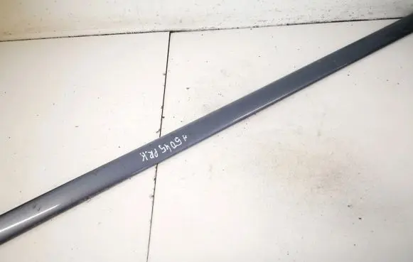 Front door trim (molding)