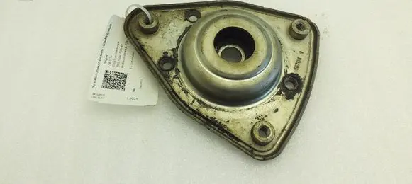 Coil spring mount