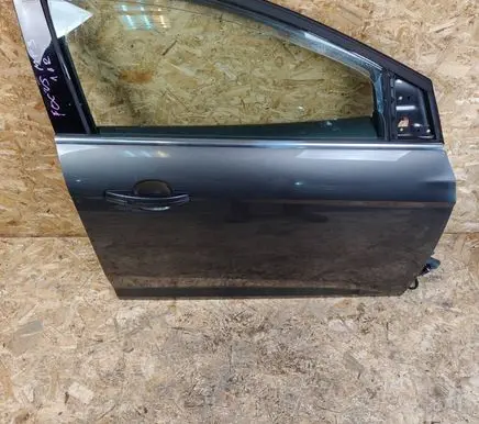Ford Focus Front door 