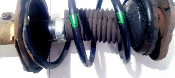 Front coil spring