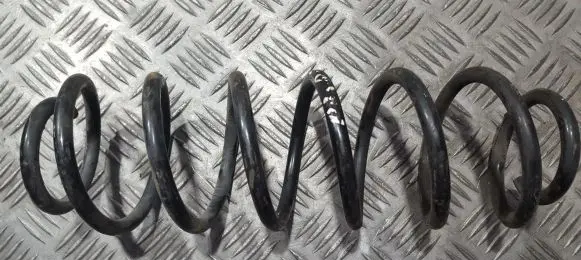 Rear coil spring