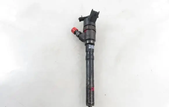 Hyundai Trajet Fuel injector 0445110126 3380027900