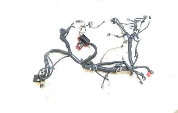 Nissan Note (E12) Engine installation wiring loom brak