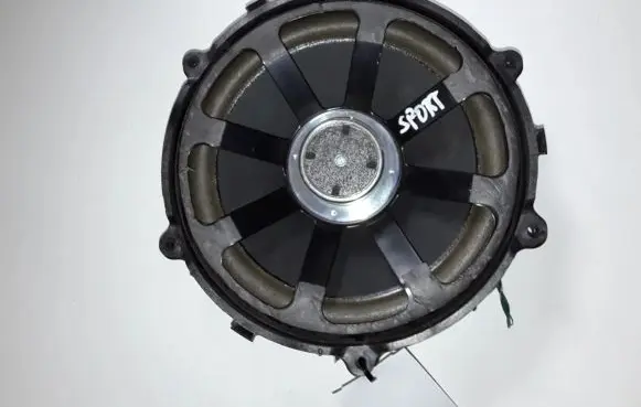 Land Rover Range Rover Sport L320 Panel speaker 2512179