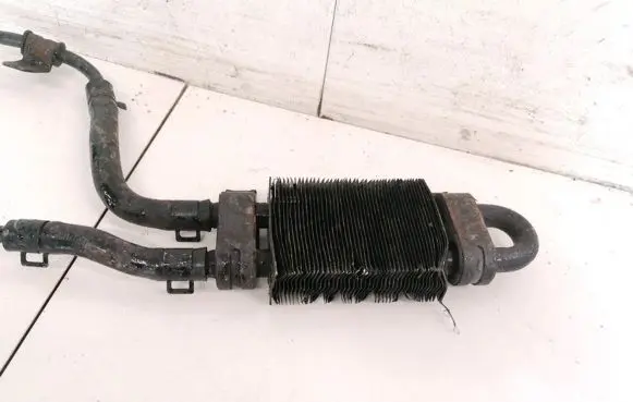 Hyundai Santa Fe Power steering radiator 