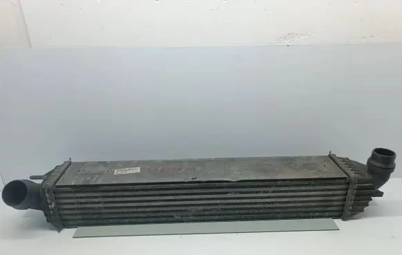 Renault Laguna III Intercooler radiator 144960001R 0005266 M4925002