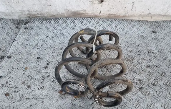 Nissan X-Trail T31 Rear coil spring