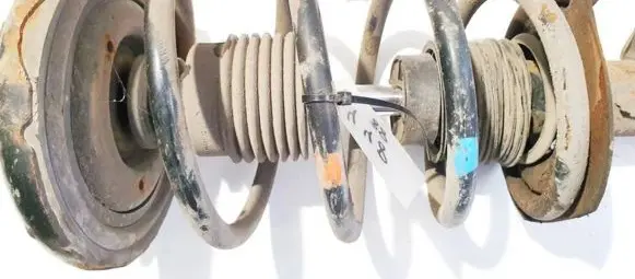 Front coil spring