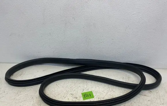Renault Zoe Rear door rubber seal (on body) 769232904R